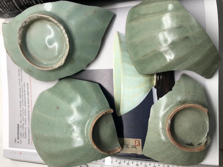 蓮瓣碗標(biāo)本